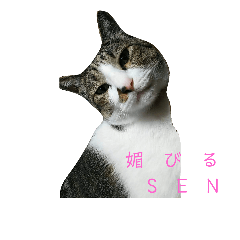 [LINEスタンプ] はなSEN スタンプ