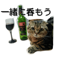 [LINEスタンプ] ぼんちゃんスタンプ