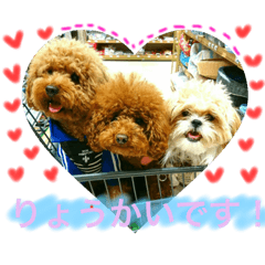 [LINEスタンプ] かいさくみん三兄弟