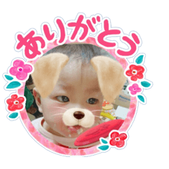 [LINEスタンプ] まきスタンプ