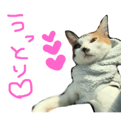 [LINEスタンプ] KIKI  ^._.^  2