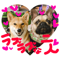 [LINEスタンプ] るな and スコッチ  いつでも一緒