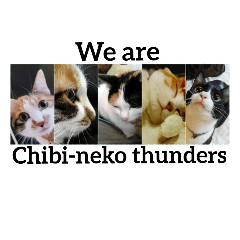[LINEスタンプ] ちびねこサンダース