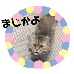 [LINEスタンプ] にいな,No.1(くまさん)