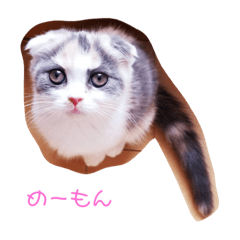 [LINEスタンプ] めーもん