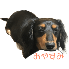 [LINEスタンプ] ちょこちゃん 1210