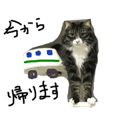 [LINEスタンプ] ねこねこのこのこ