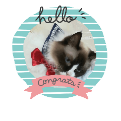 [LINEスタンプ] ねこのひとりごと
