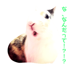 [LINEスタンプ] 小動物たち。