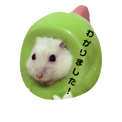 [LINEスタンプ] ハムスターのうめとつばき