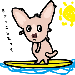 [LINEスタンプ] 毛無し犬アンコ