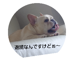 [LINEスタンプ] フレブル空ちゃん