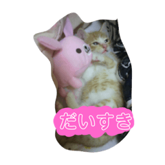 [LINEスタンプ] ねこ。すたんぷ。