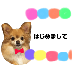 [LINEスタンプ] リロさんの日常生活スタンプ