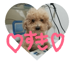 [LINEスタンプ] 愛犬ぷぅちゃん