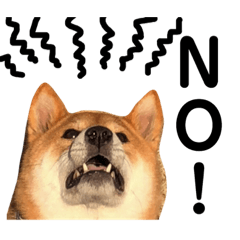 [LINEスタンプ] 柴犬ロクきゅんのスタンプ