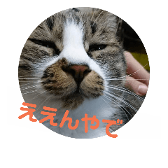 [LINEスタンプ] 五郎＆つくね