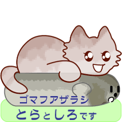 [LINEスタンプ] ネコさんの日常会話 Vol.1