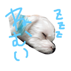 [LINEスタンプ] 愛犬ズ