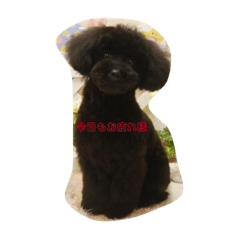 [LINEスタンプ] シェリちゃん