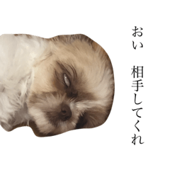 [LINEスタンプ] ワンワンとウーマン