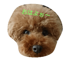 [LINEスタンプ] 日常編(友達Vr)
