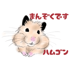 [LINEスタンプ] ハムゴン日和2