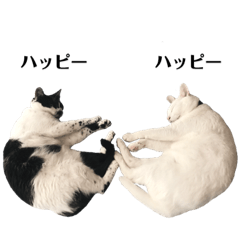 [LINEスタンプ] ネコの麻呂と王子