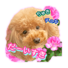 [LINEスタンプ] 日常会話に想いを込めて伝えられるスタンプ