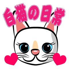 [LINEスタンプ] 白猫の日常会話スタンプ