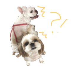 [LINEスタンプ] 私の可愛い娘達です！！！！！