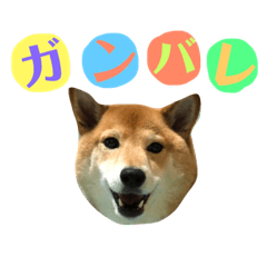 [LINEスタンプ] 柴犬なな 野球応援2