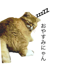 [LINEスタンプ] ぶちゃ2