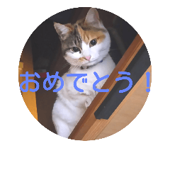 [LINEスタンプ] ソラ その2