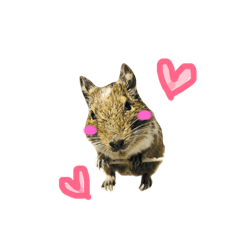 [LINEスタンプ] デグー と愉快な仲間たち