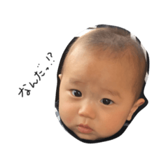 [LINEスタンプ] がい