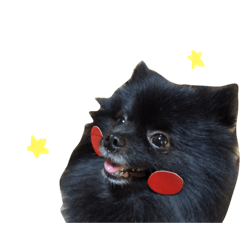 [LINEスタンプ] こたちゃんワンワンスタンプ