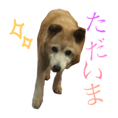 [LINEスタンプ] みちゅとちょこまちゃ