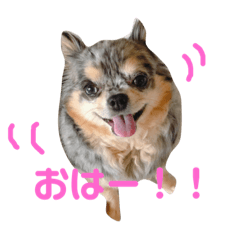 [LINEスタンプ] るーのスタンプ5