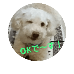 [LINEスタンプ] 愛犬、チャロ