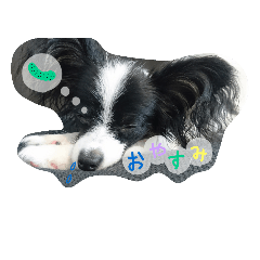 [LINEスタンプ] だいすきこっと！