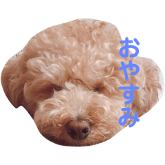 [LINEスタンプ] クレアすたんぷ