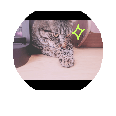 [LINEスタンプ] CHATAMP