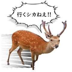 [LINEスタンプ] ウザかわいいスタンプ（シカ）