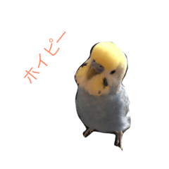 [LINEスタンプ] ちょぴん