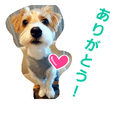 [LINEスタンプ] ラッシュくんスタンプ1