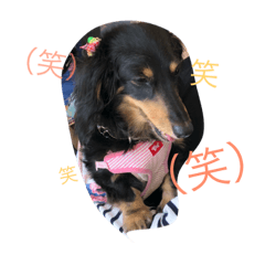 [LINEスタンプ] みんな大好き凛たむ