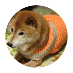 [LINEスタンプ] ナナ写真