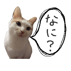 [LINEスタンプ] 三浦のスタンプ