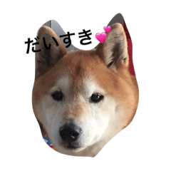 [LINEスタンプ] 大好きてんちゃん